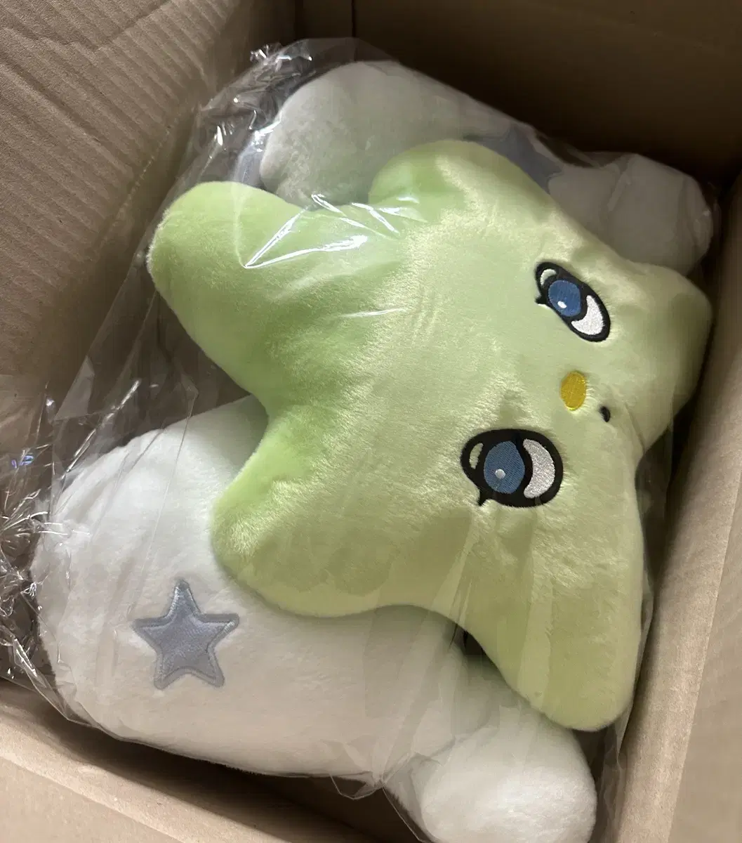 nct wish wichu ウィチュ　クッション NCT WISH Wichu Cushion Official Product | eBay